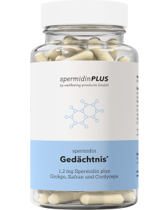 Spermidin Gedächtnis